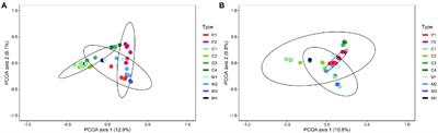 Elucidating the microbiome of the sustainable peat replacers composts and nature management residues